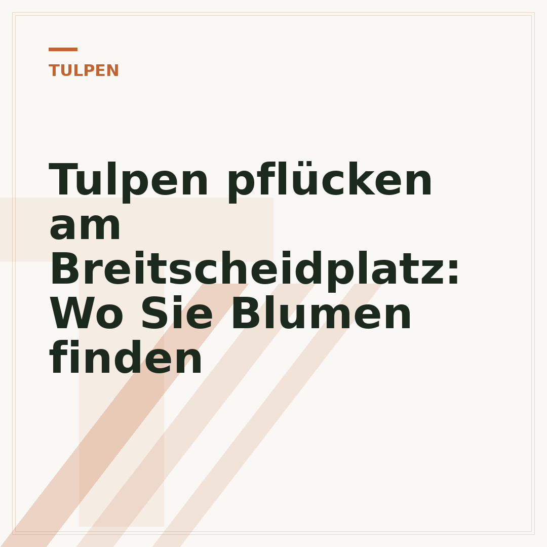Tulpen pflücken am Breitscheidplatz: Wo Sie Blumen finden