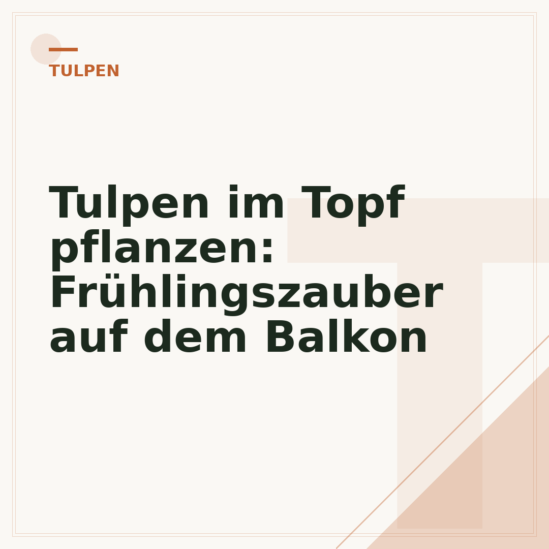 Tulpen im Topf pflanzen: Frühlingszauber auf dem Balkon