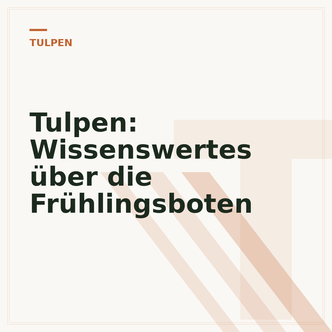 Tulpen: Wissenswertes über die Frühlingsboten