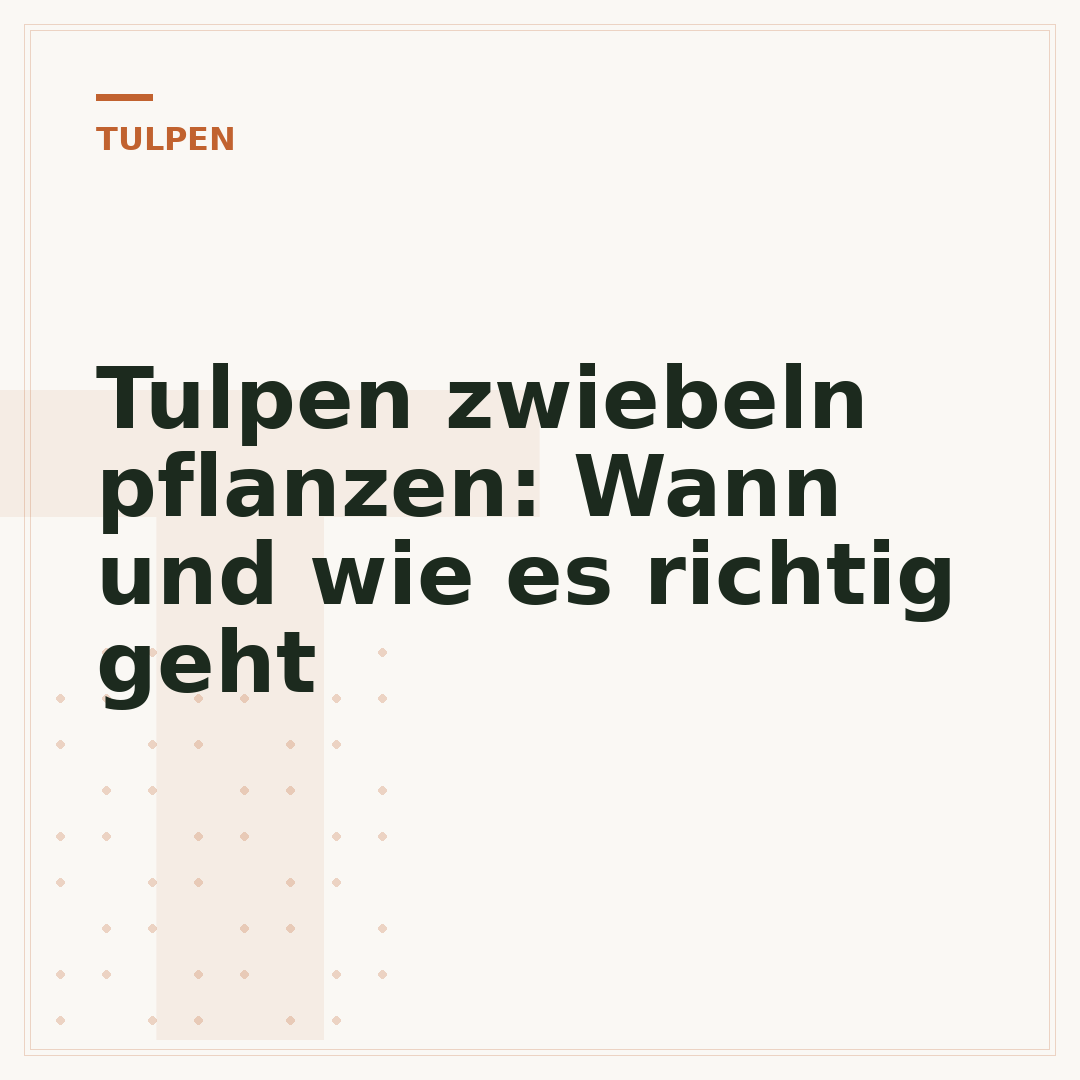 Tulpen zwiebeln pflanzen: Wann und wie es richtig geht
