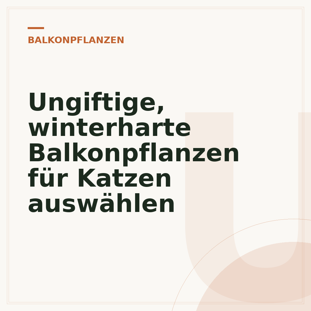 Ungiftige, winterharte Balkonpflanzen für Katzen auswählen