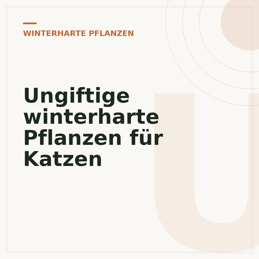 Ungiftige winterharte Pflanzen für Katzen