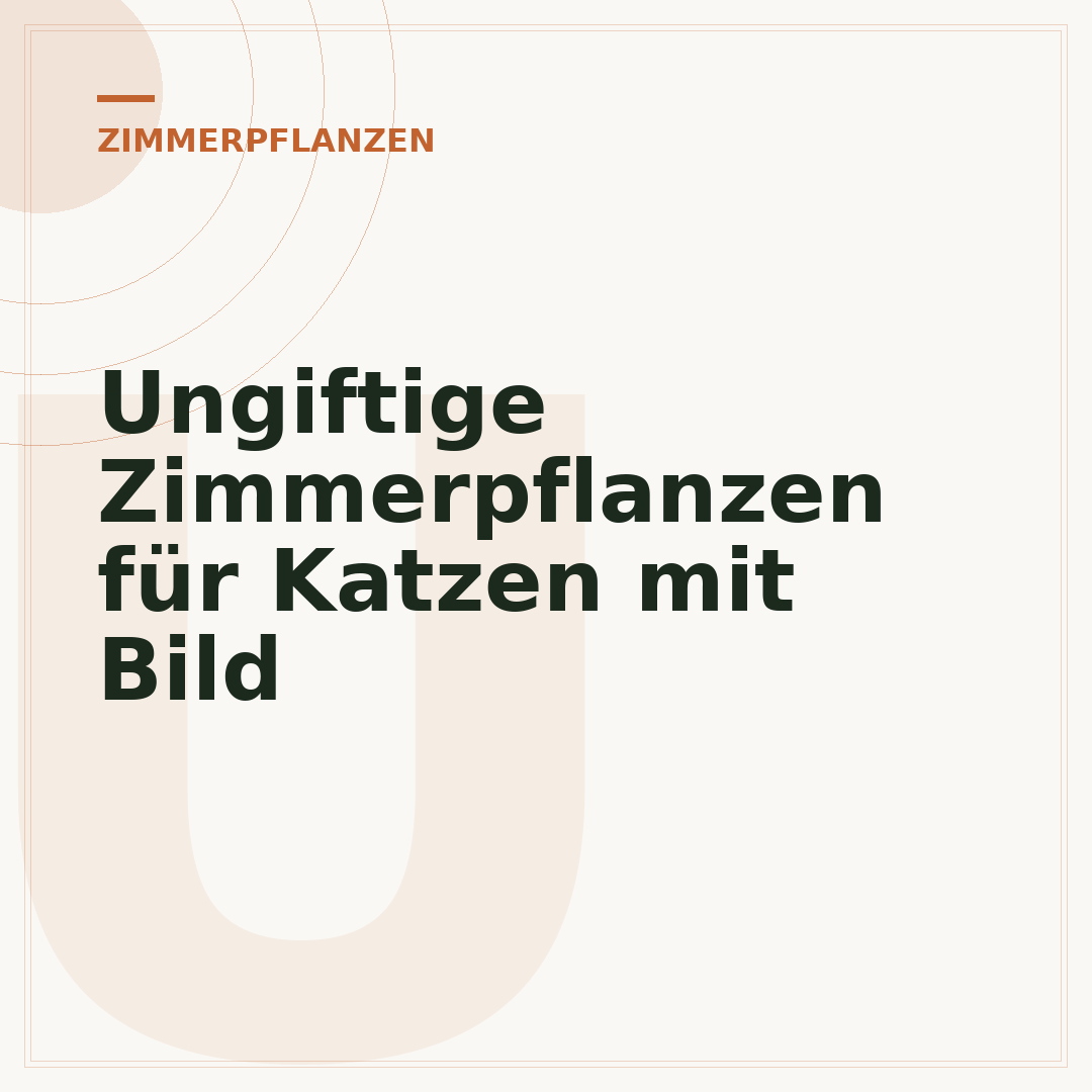 Ungiftige Zimmerpflanzen für Katzen mit Bild