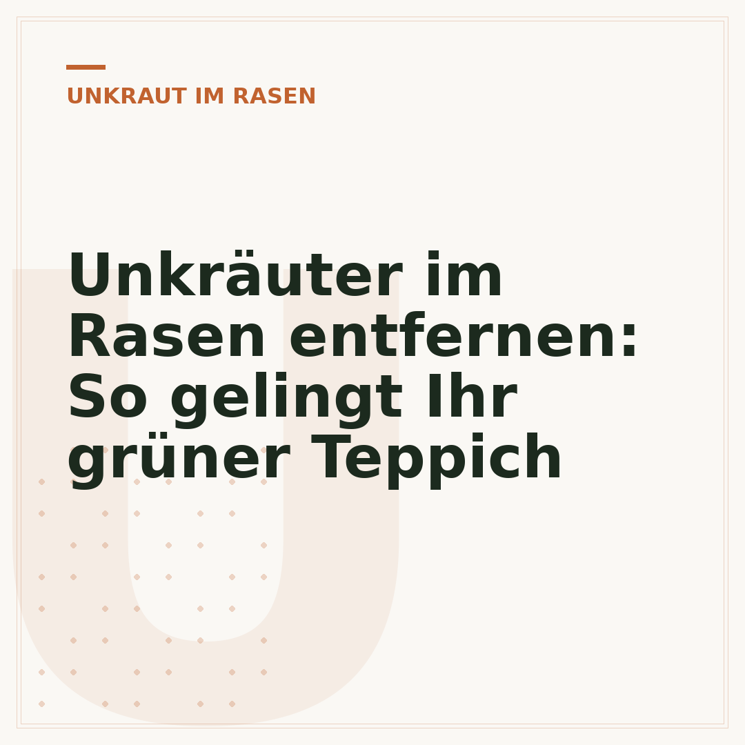 Unkräuter im Rasen entfernen: So gelingt Ihr grüner Teppich