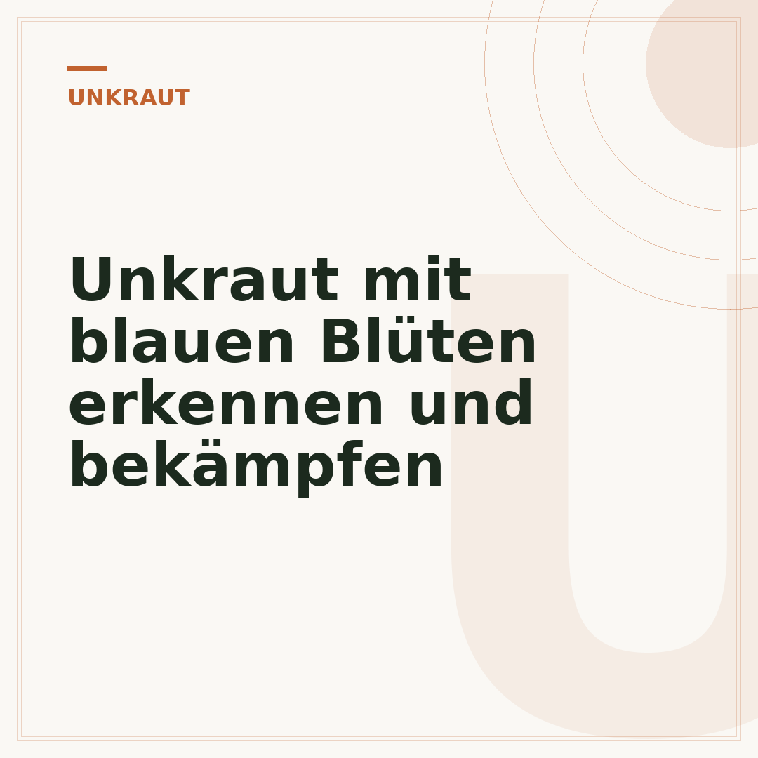 Unkraut mit blauen Blüten erkennen und bekämpfen