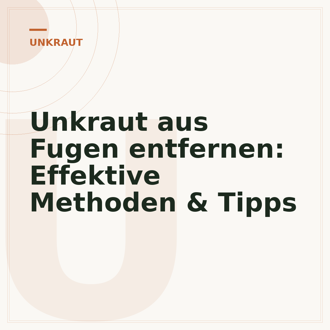 Unkraut aus Fugen entfernen: Effektive Methoden & Tipps