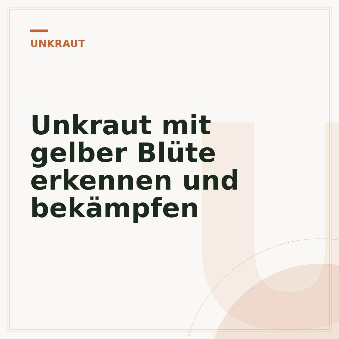 Unkraut mit gelber Blüte erkennen und bekämpfen