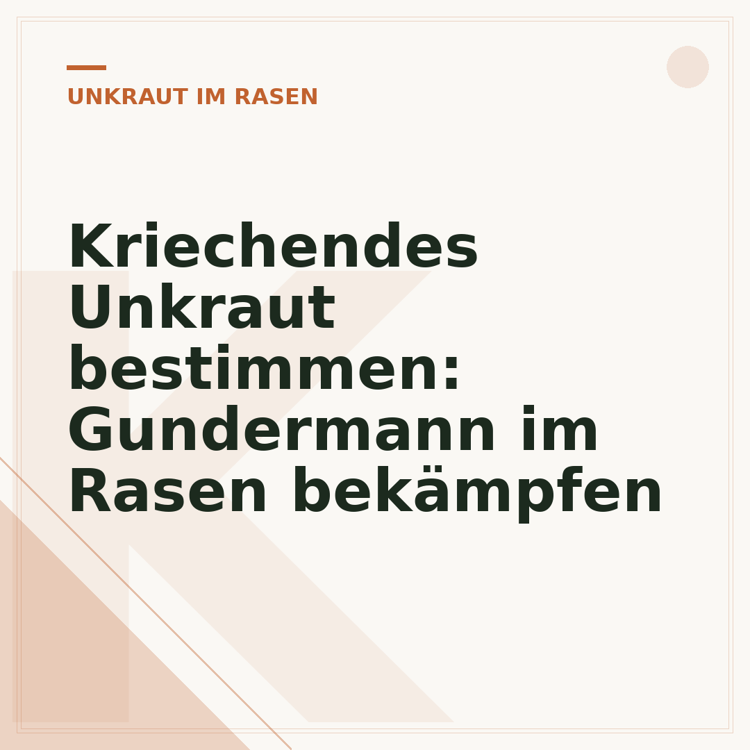 Kriechendes Unkraut bestimmen: Gundermann im Rasen bekämpfen