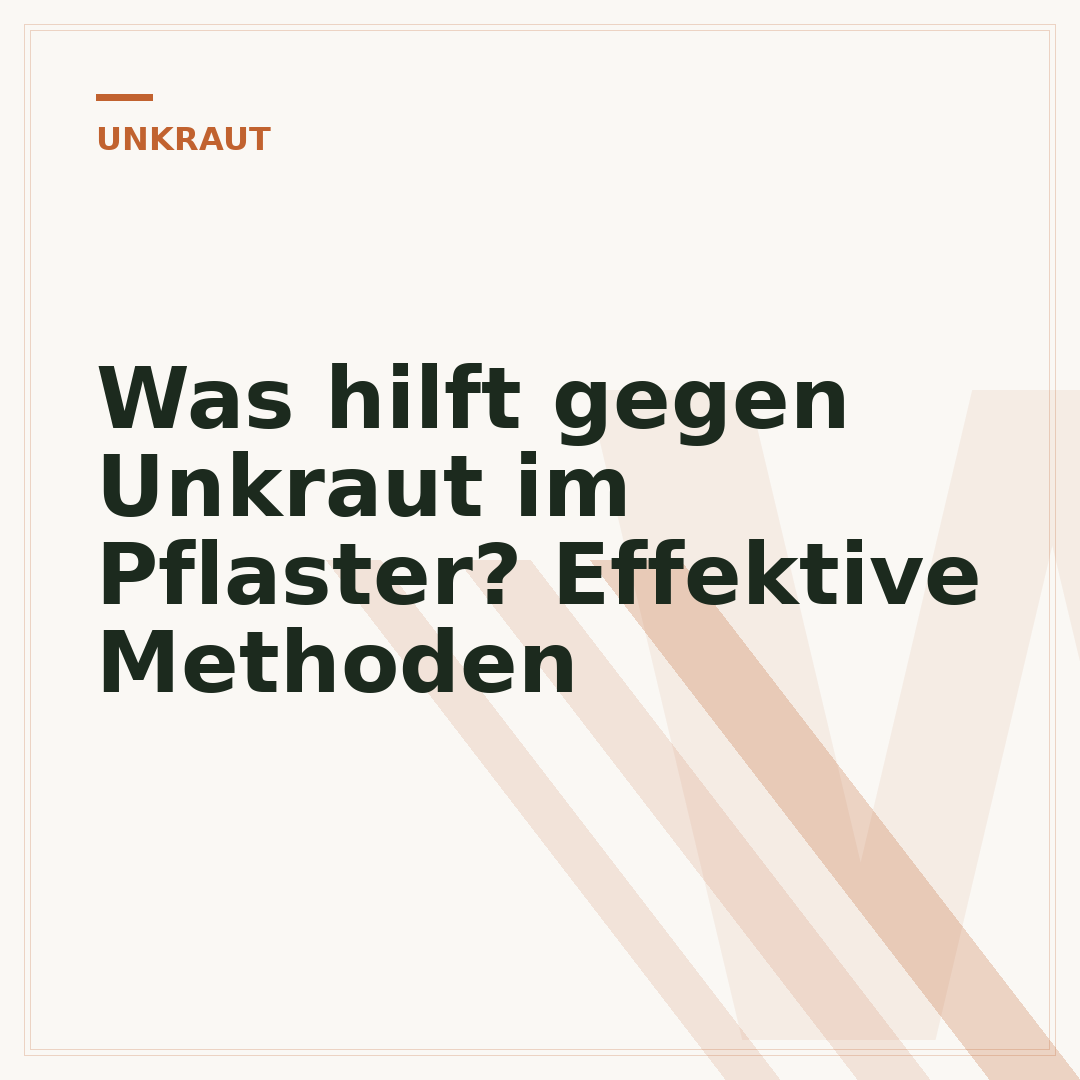 Was hilft gegen Unkraut im Pflaster? Effektive Methoden