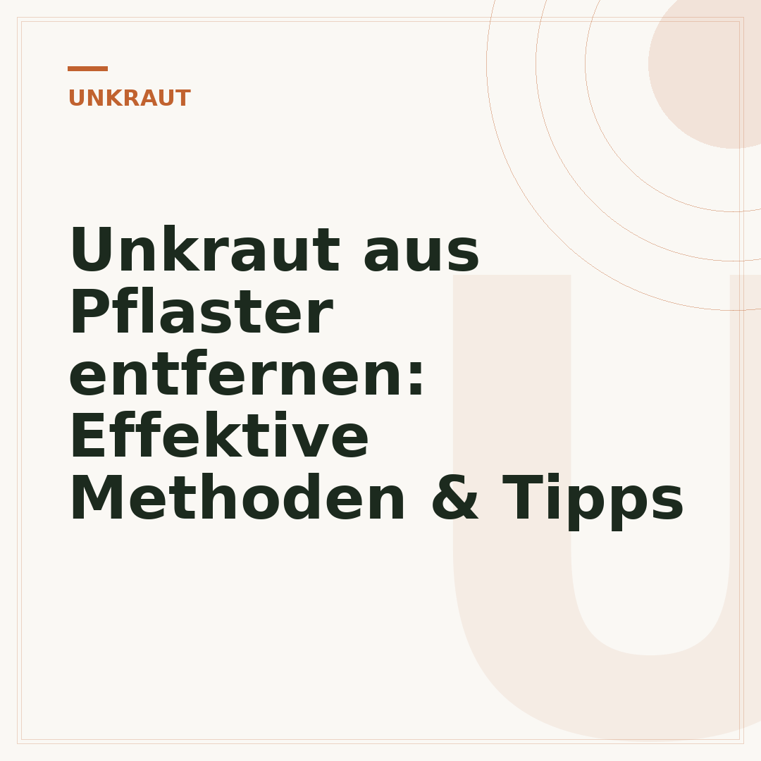 Unkraut aus Pflaster entfernen: Effektive Methoden & Tipps