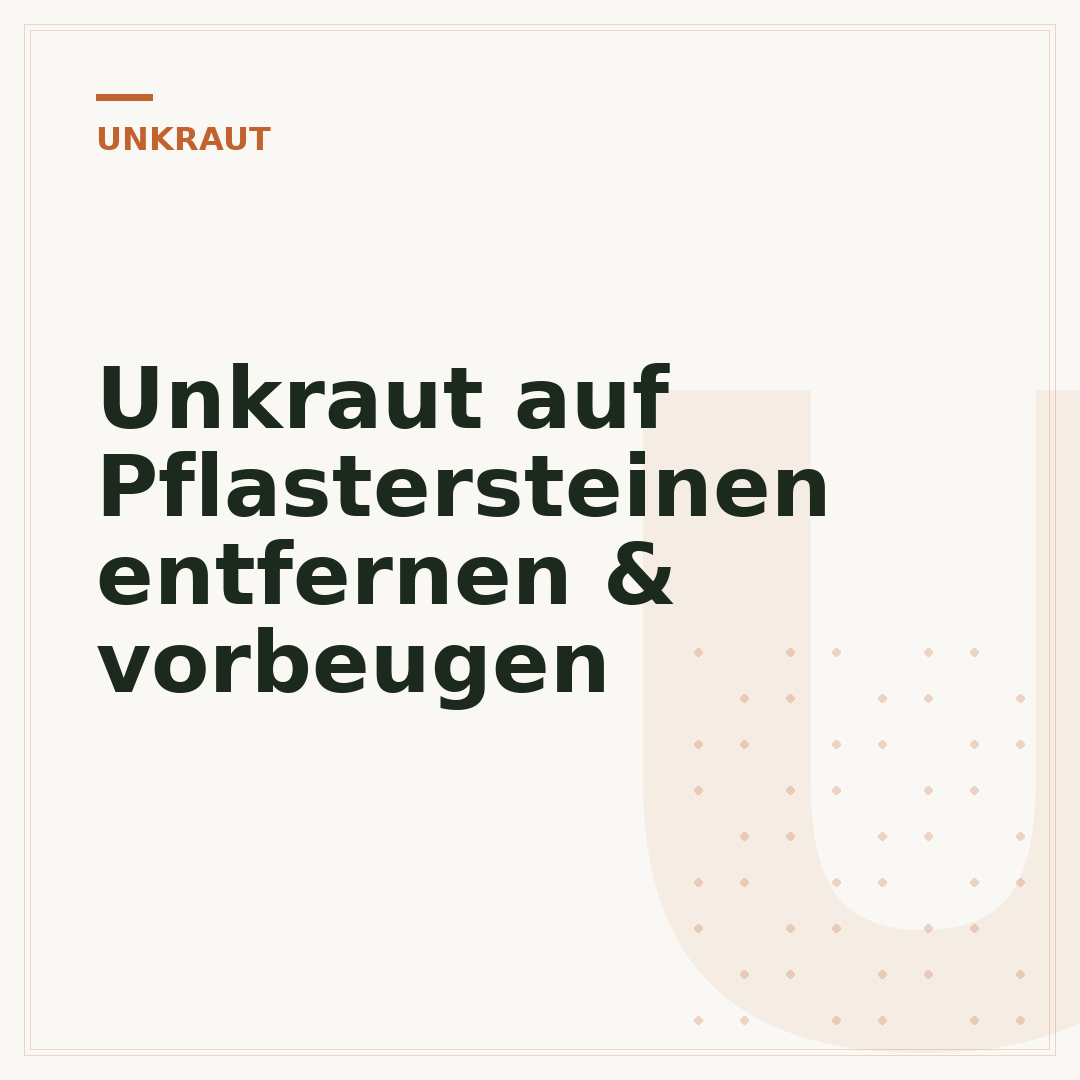 Unkraut auf Pflastersteinen entfernen & vorbeugen