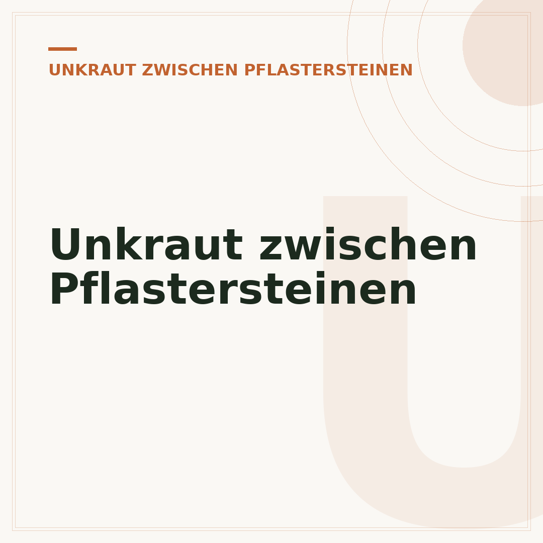 Unkraut zwischen Pflastersteinen