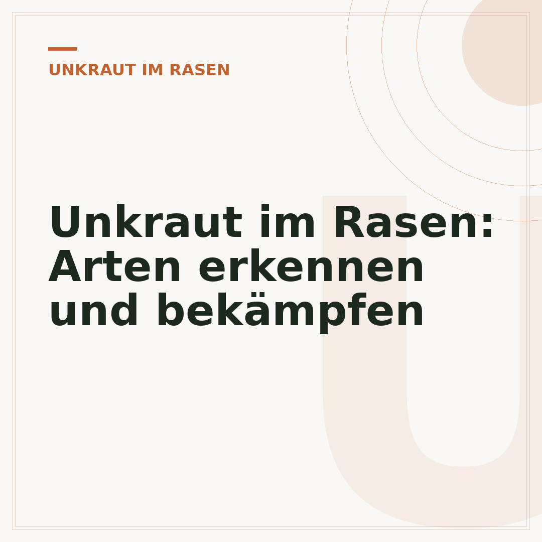 Unkraut im Rasen: Arten erkennen und bekämpfen