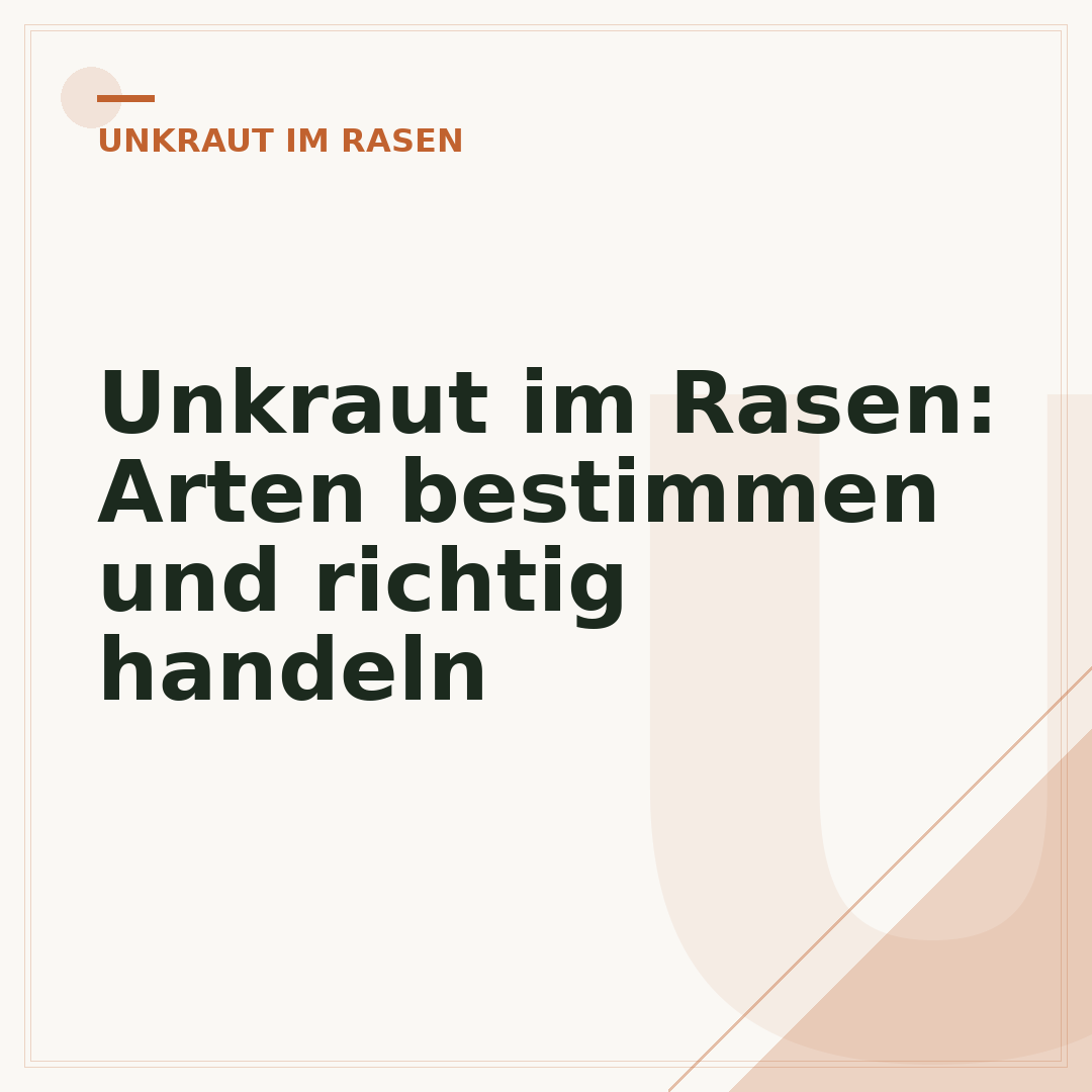 Unkraut im Rasen: Arten bestimmen und richtig handeln