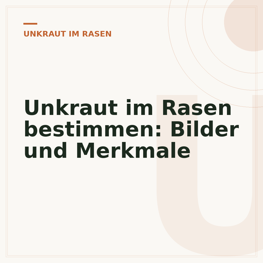 Unkraut im Rasen bestimmen: Bilder und Merkmale