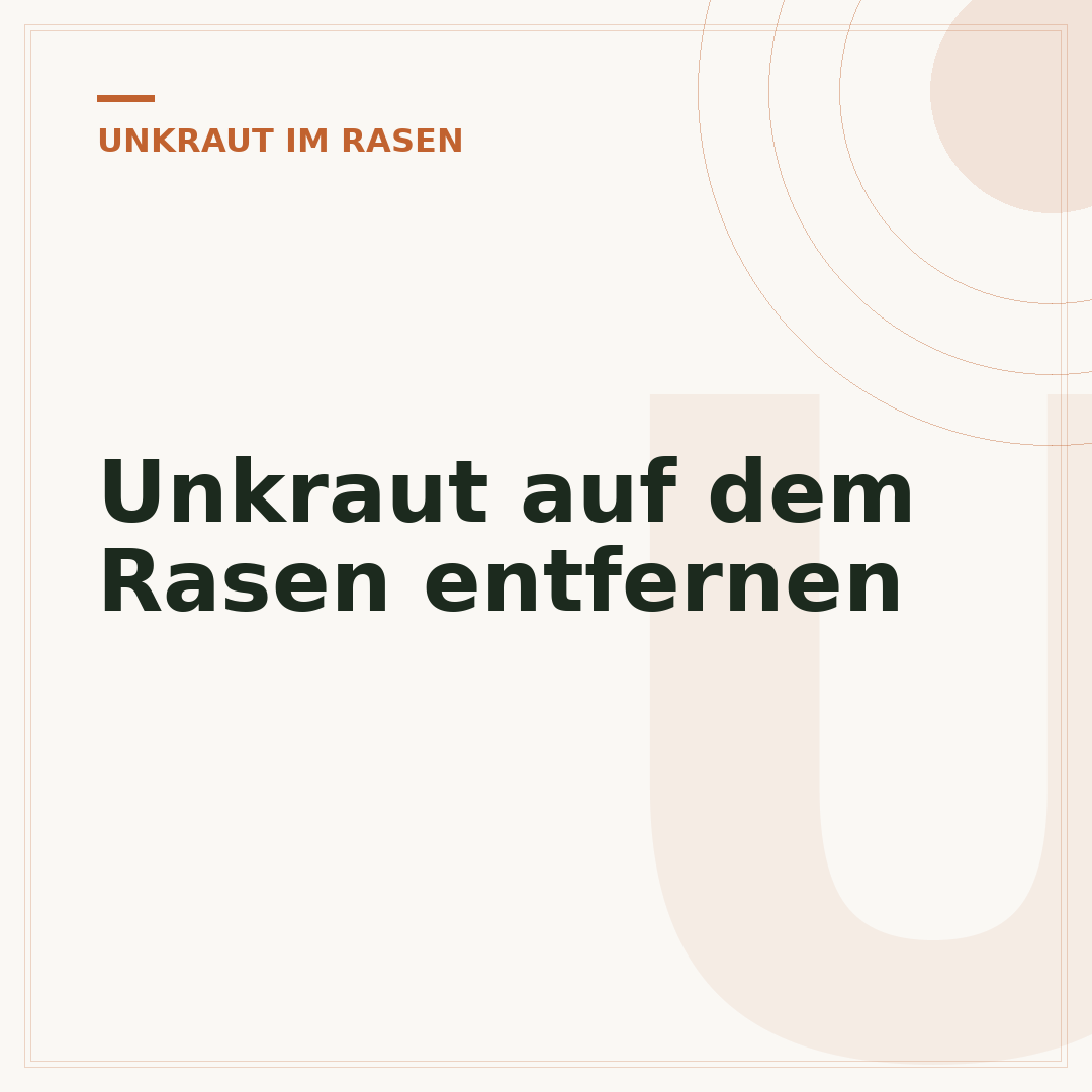 Unkraut auf dem Rasen entfernen