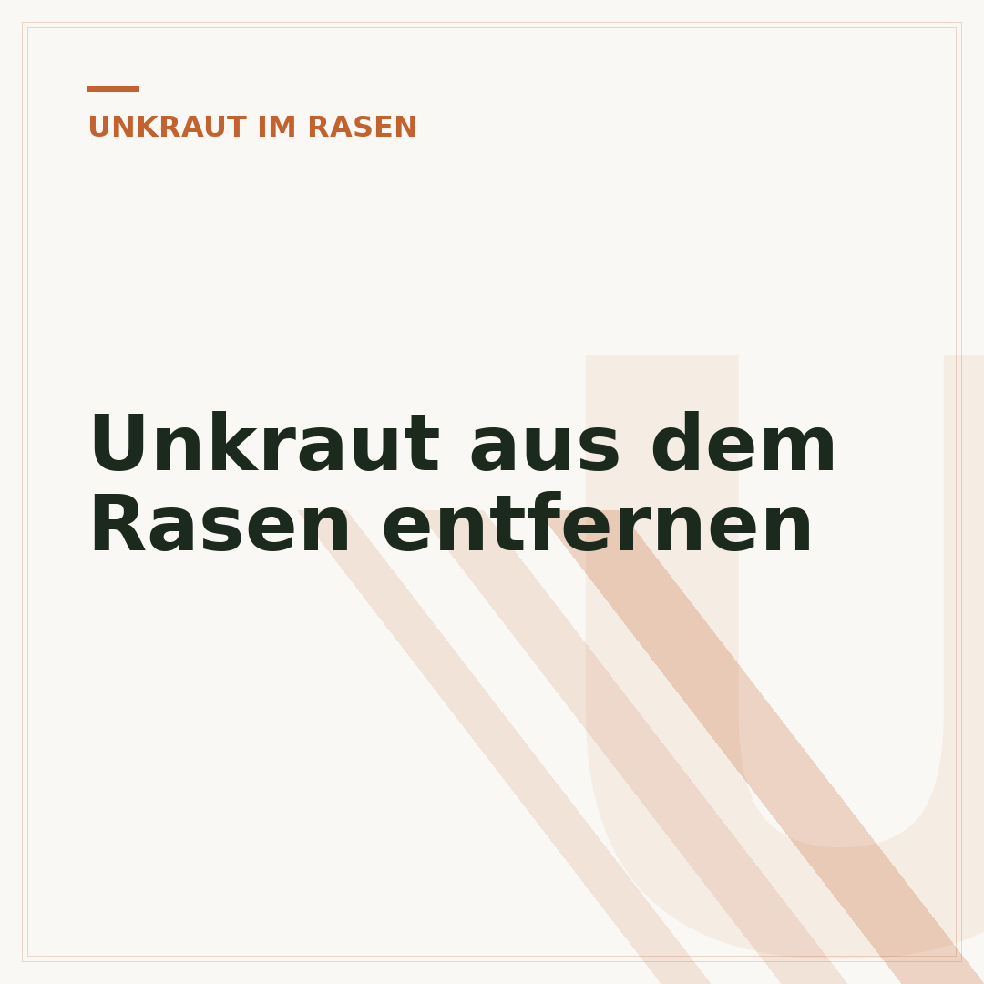 Unkraut aus dem Rasen entfernen