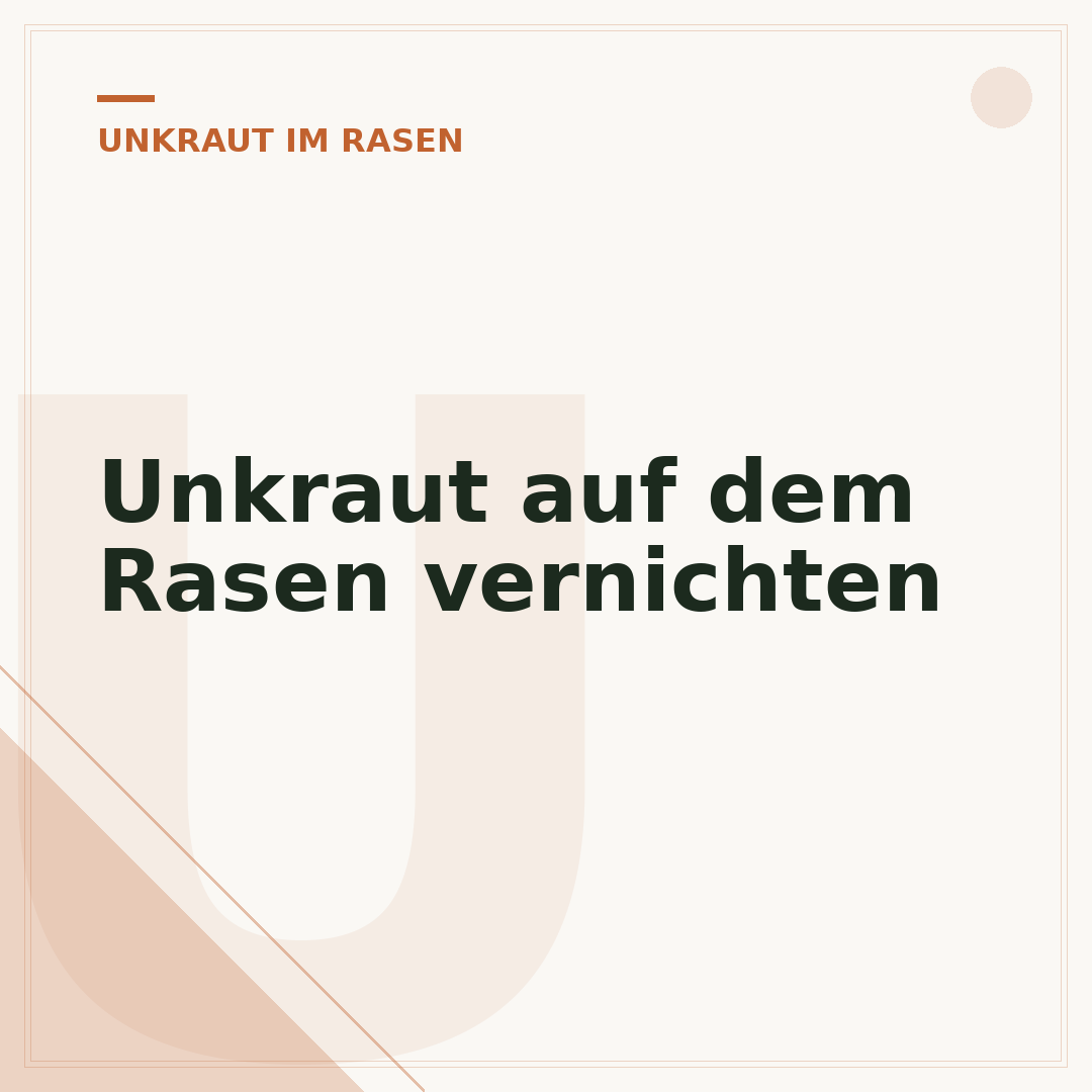 Unkraut auf dem Rasen vernichten
