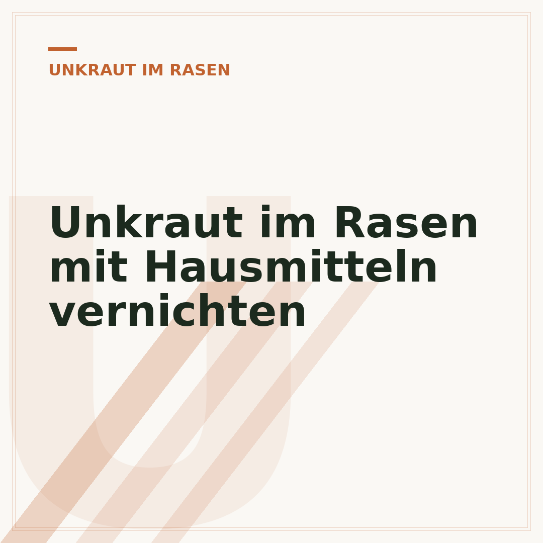 Unkraut im Rasen mit Hausmitteln vernichten