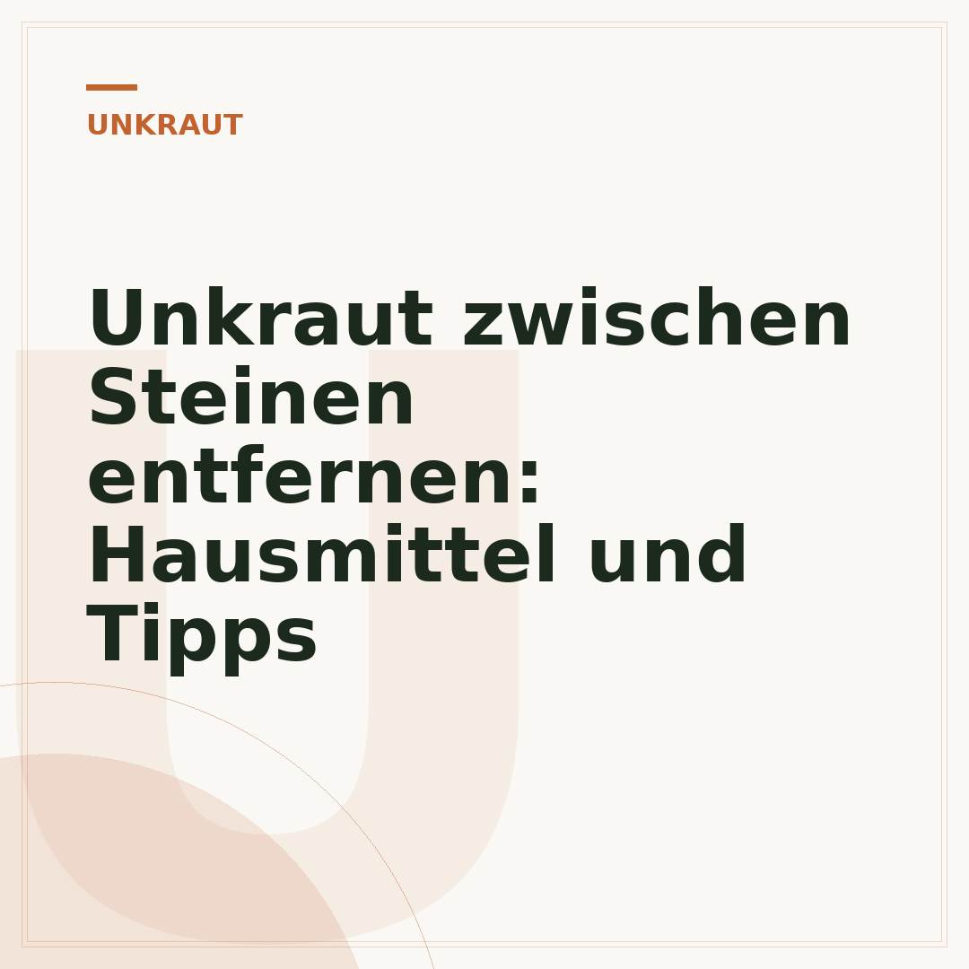 Unkraut zwischen Steinen entfernen: Hausmittel und Tipps