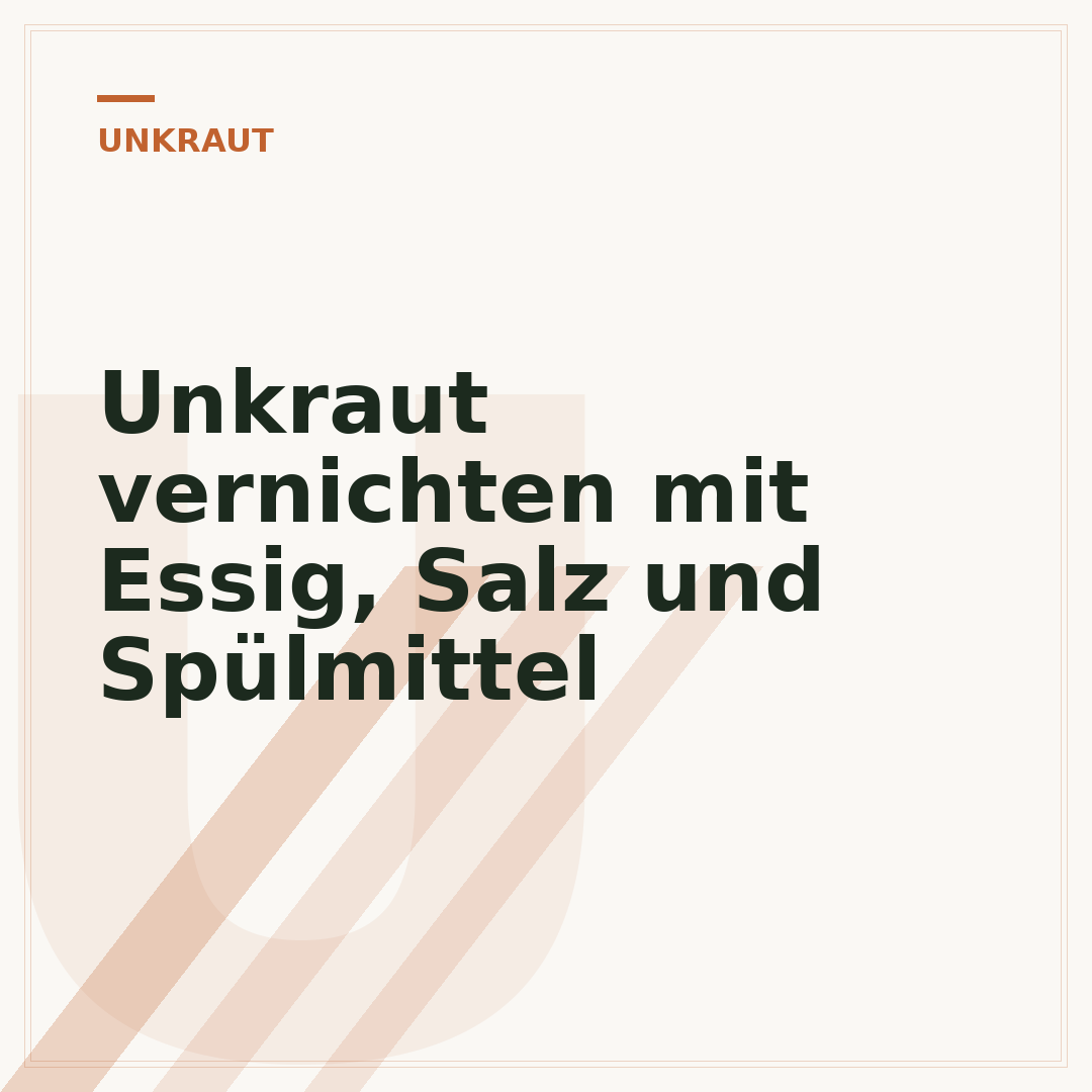 Unkraut vernichten mit Essig, Salz und Spülmittel