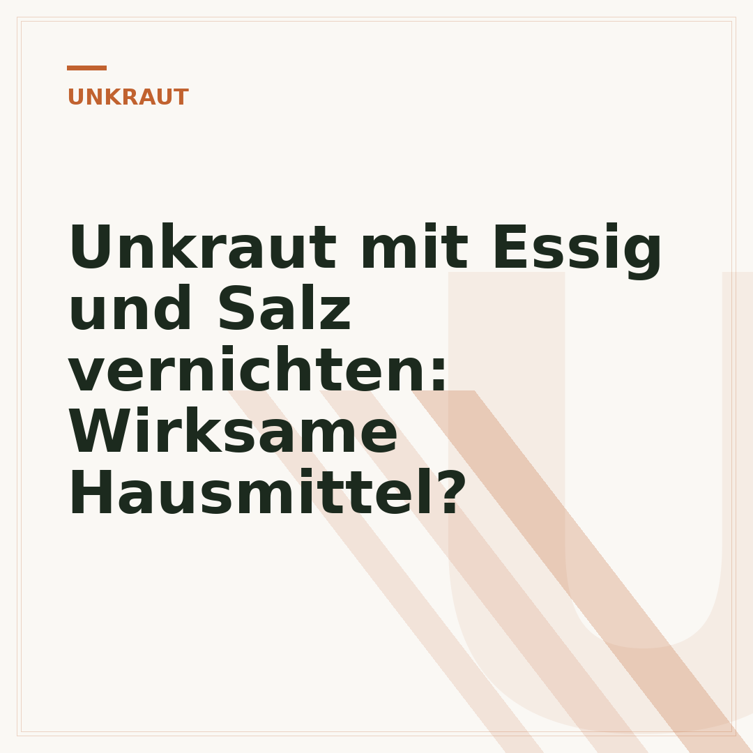 Unkraut mit Essig und Salz vernichten: Wirksame Hausmittel?