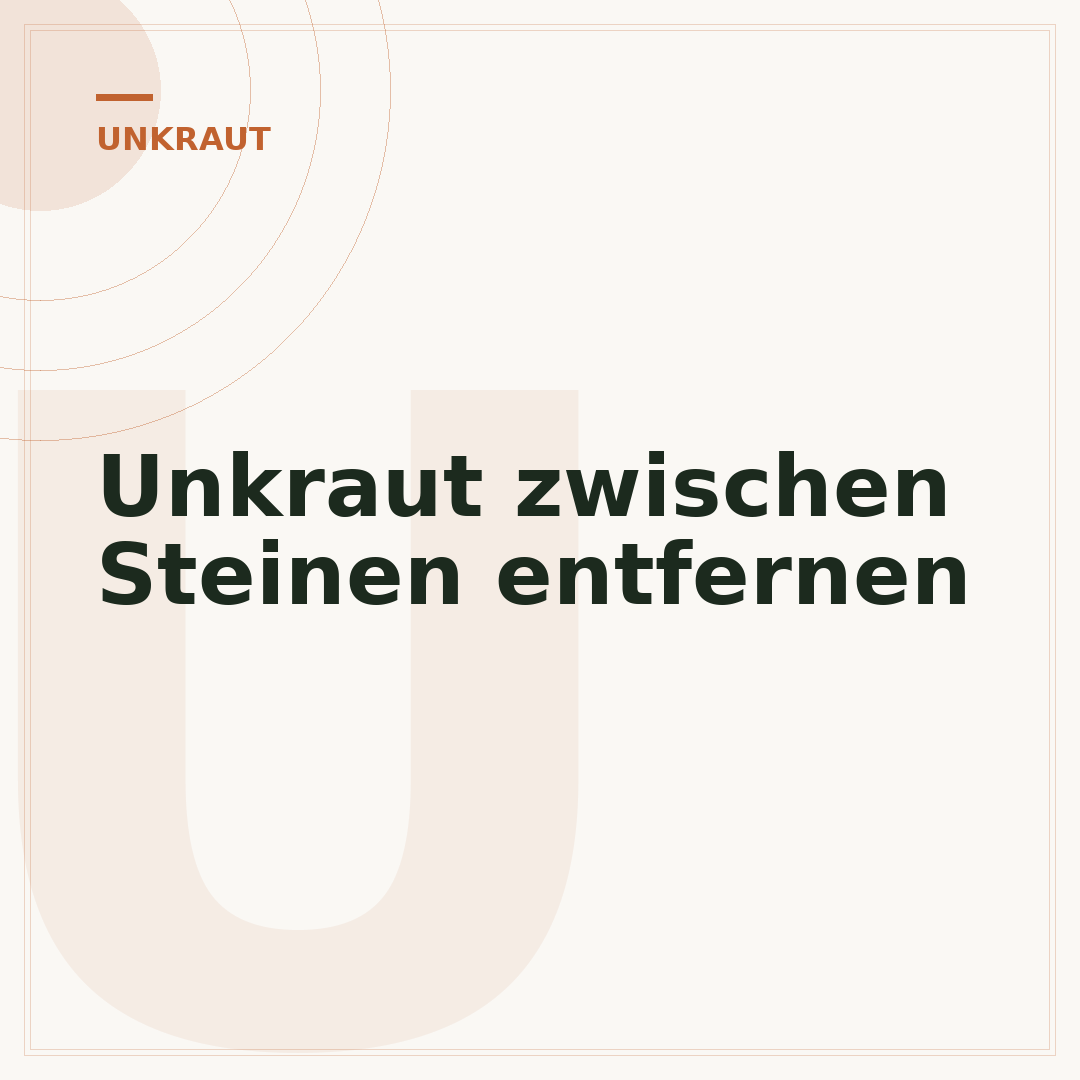 Unkraut zwischen Steinen entfernen
