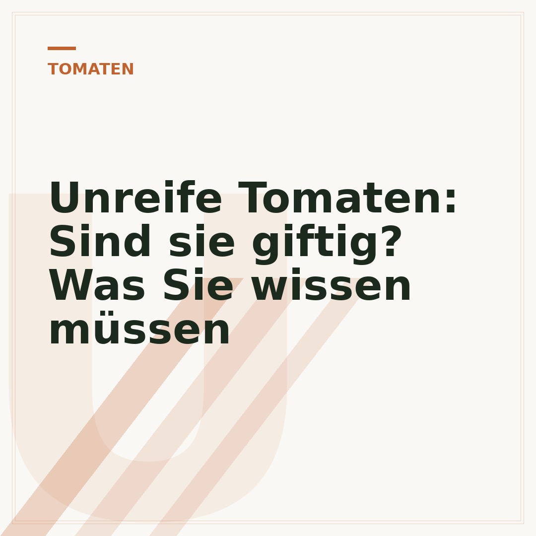 Unreife Tomaten: Sind sie giftig? Was Sie wissen müssen