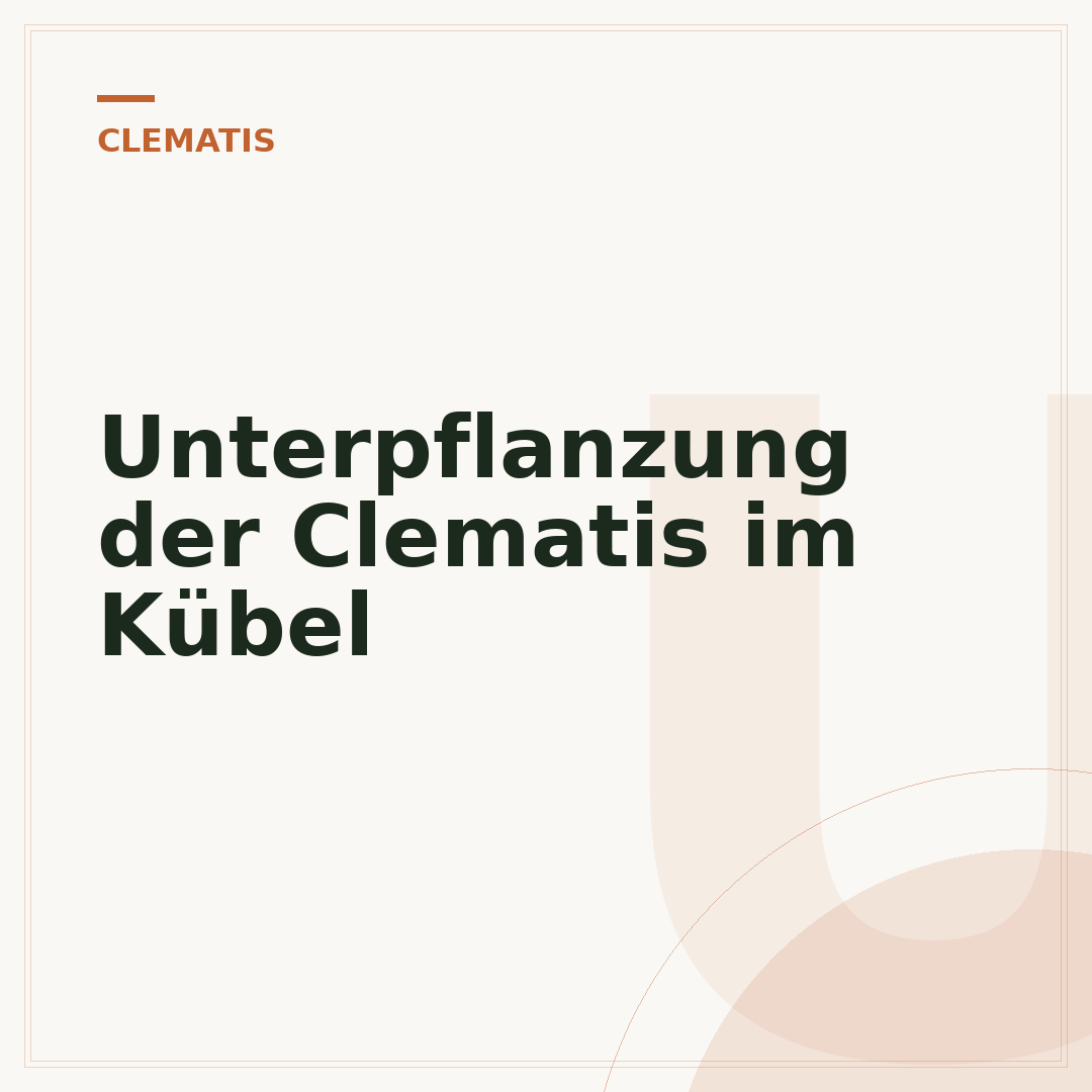 Unterpflanzung der Clematis im Kübel