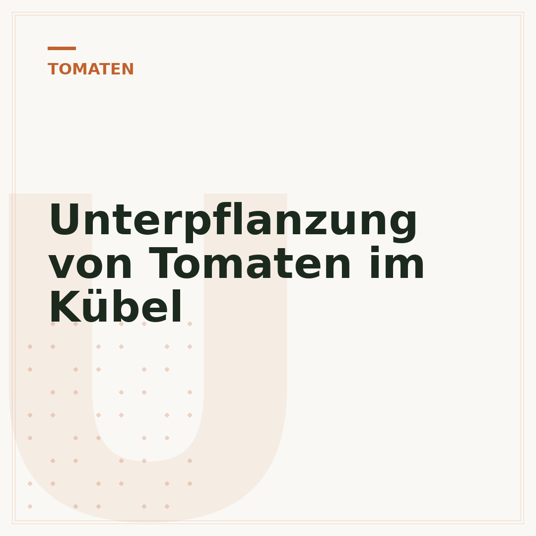 Unterpflanzung von Tomaten im Kübel