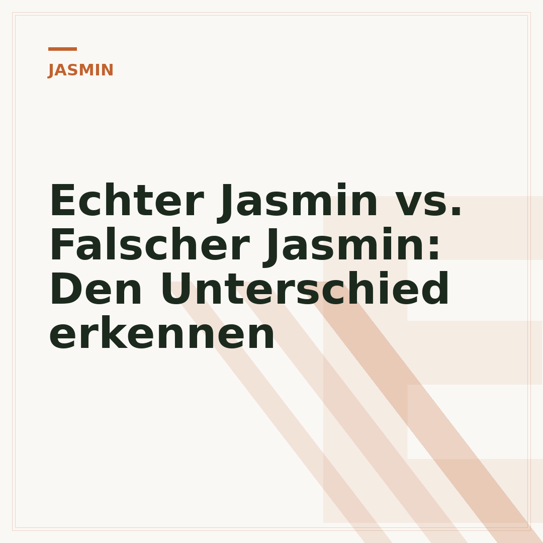 Echter Jasmin vs. Falscher Jasmin: Den Unterschied erkennen