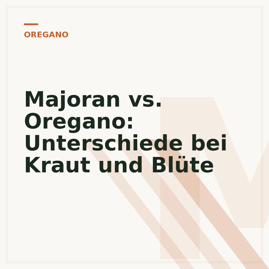 Majoran vs. Oregano: Unterschiede bei Kraut und Blüte