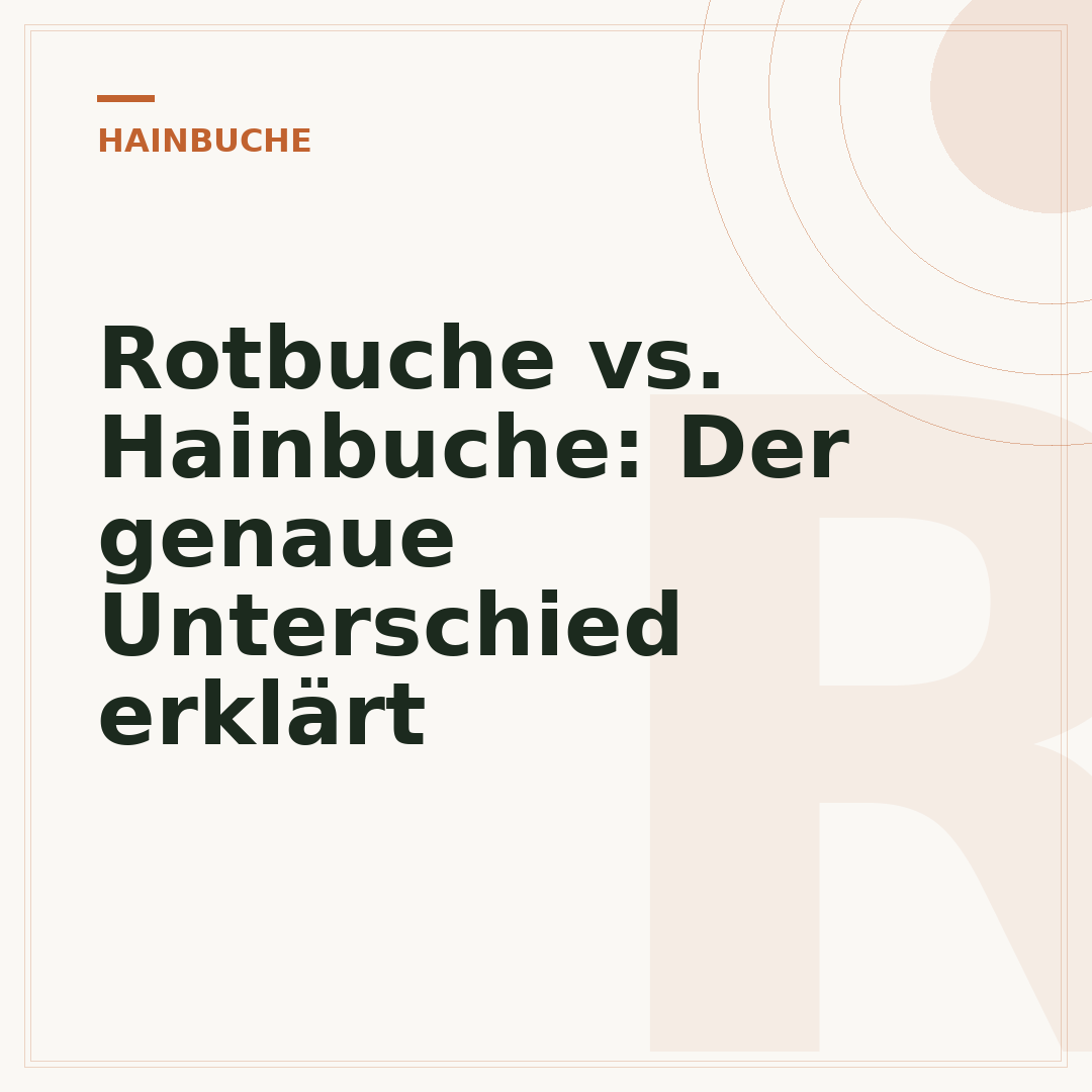 Rotbuche vs. Hainbuche: Der genaue Unterschied erklärt