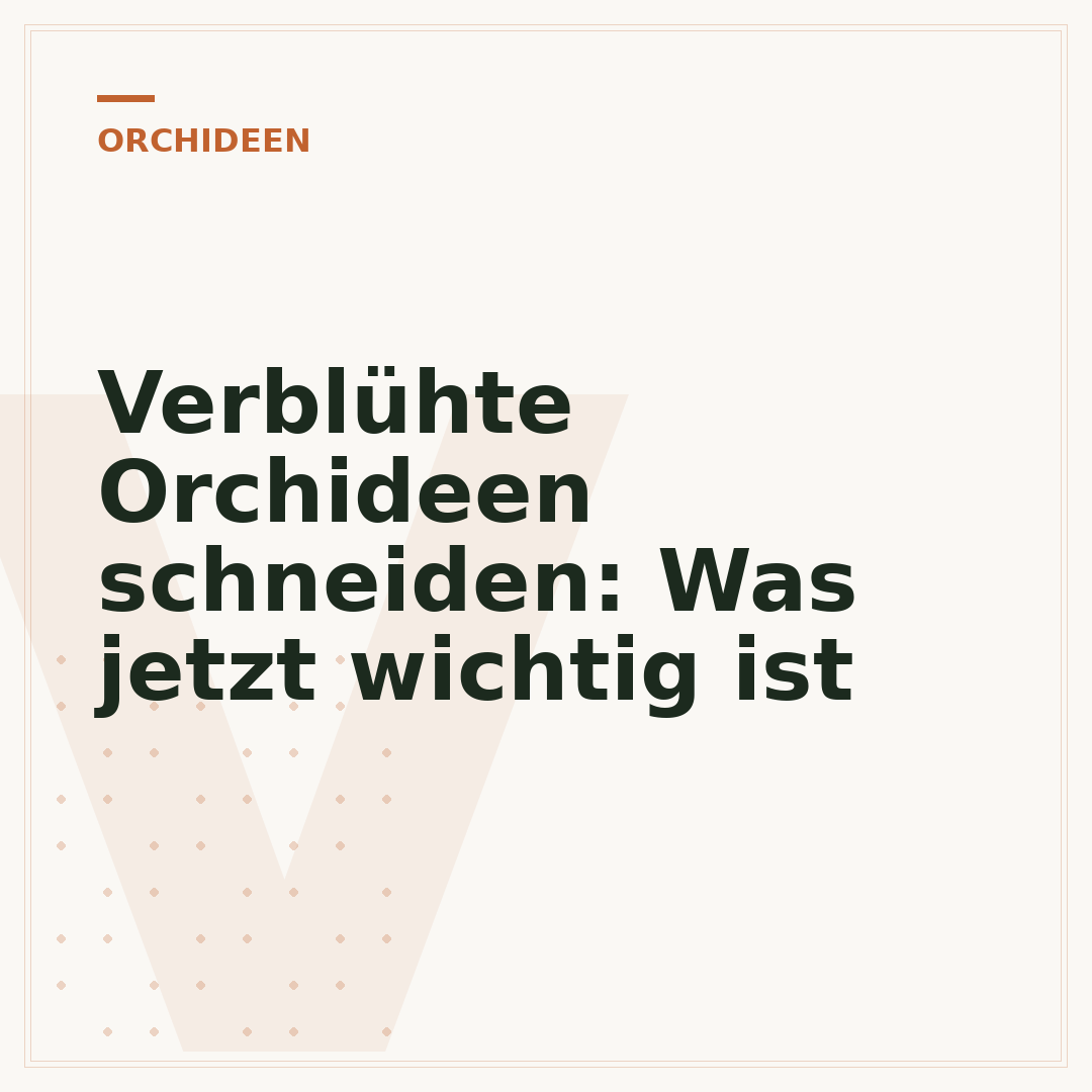 Verblühte Orchideen schneiden: Was jetzt wichtig ist