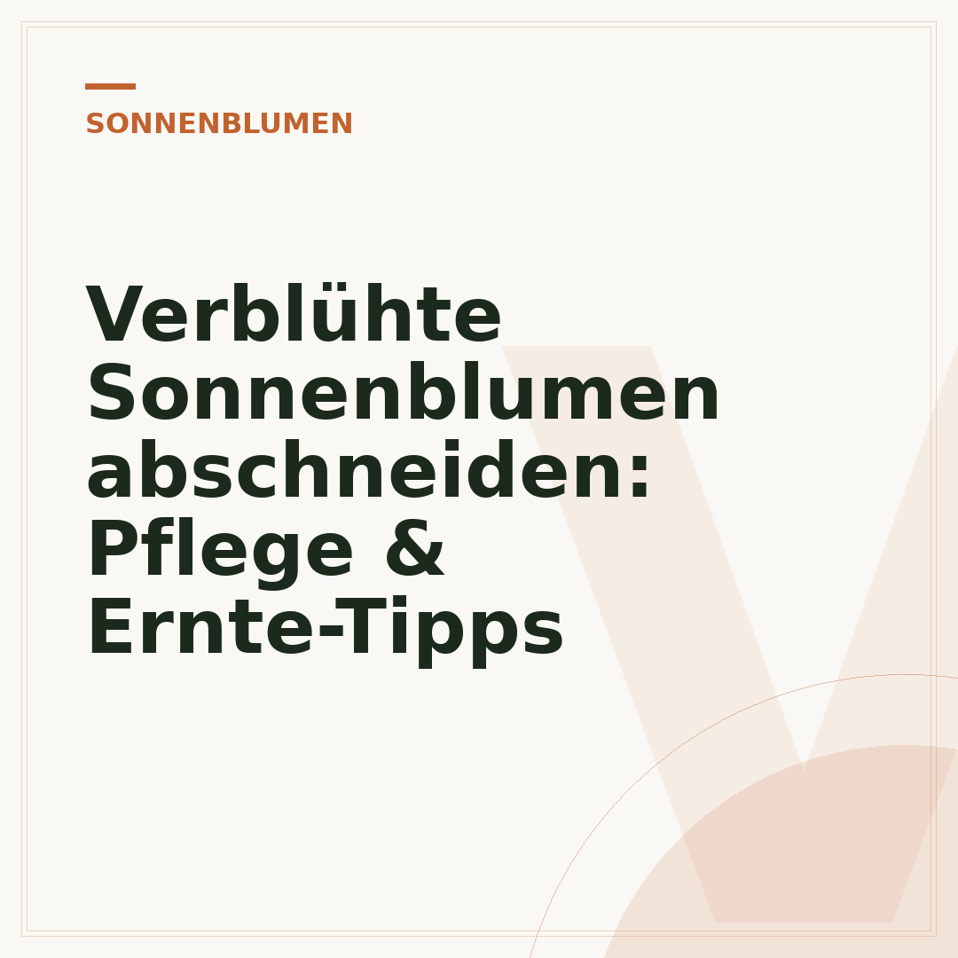 Verblühte Sonnenblumen abschneiden: Pflege & Ernte-Tipps