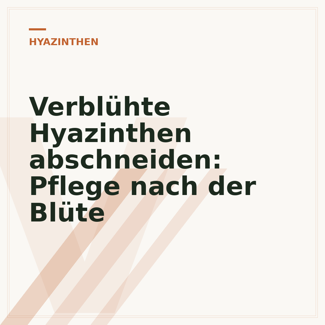 Verblühte Hyazinthen abschneiden: Pflege nach der Blüte
