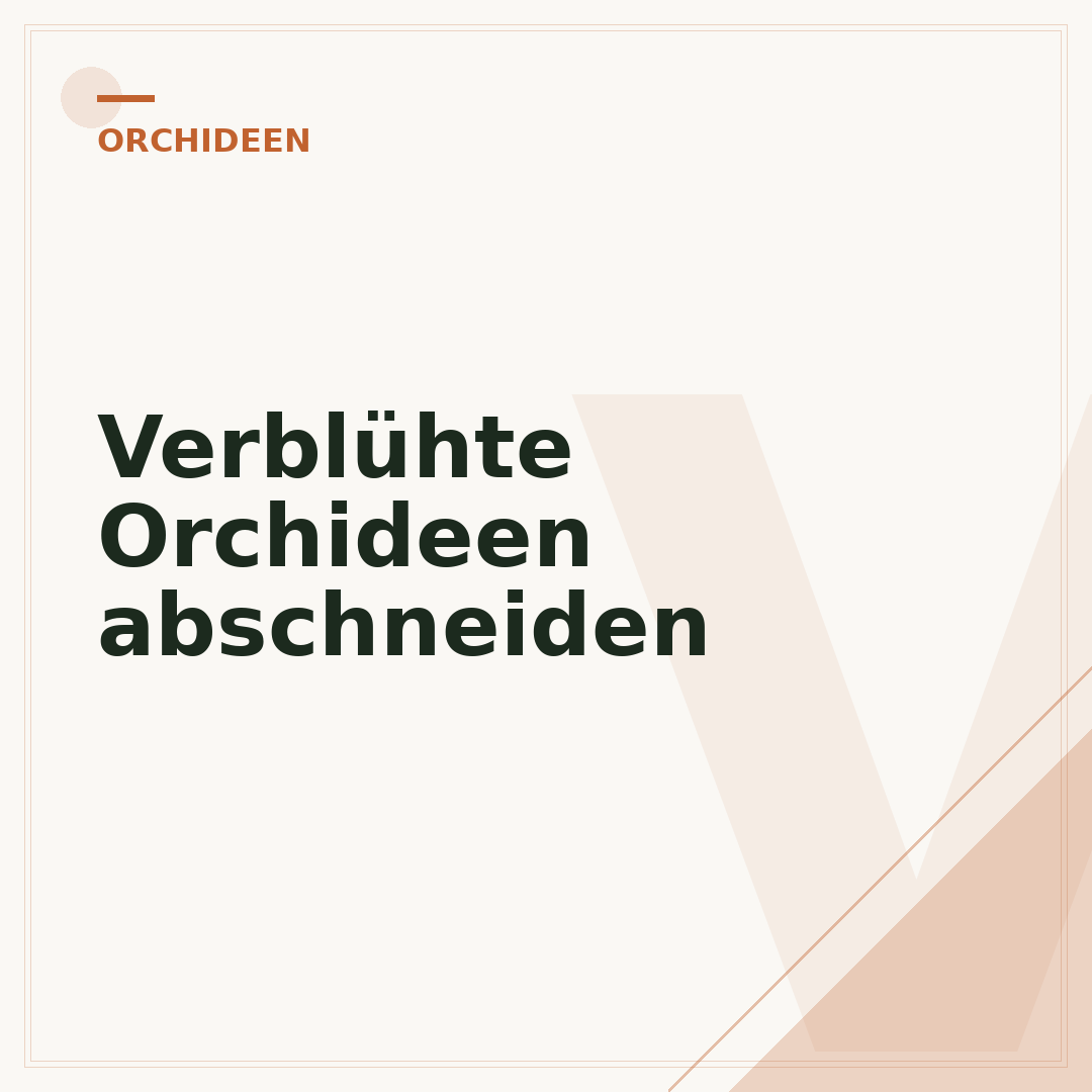 Verblühte Orchideen abschneiden