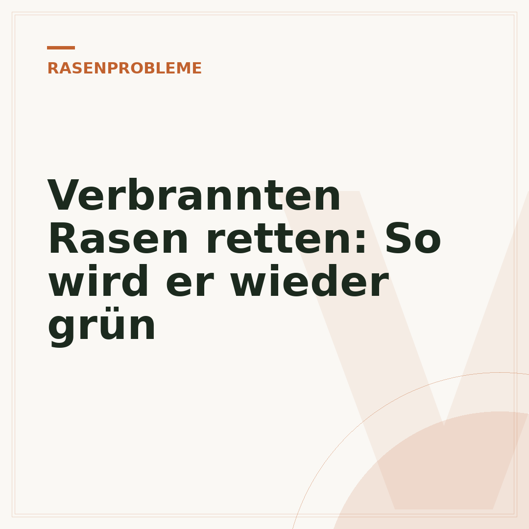 Verbrannten Rasen retten: So wird er wieder grün