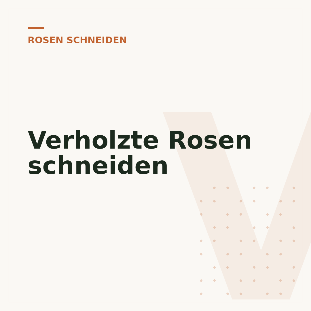 Verholzte Rosen schneiden