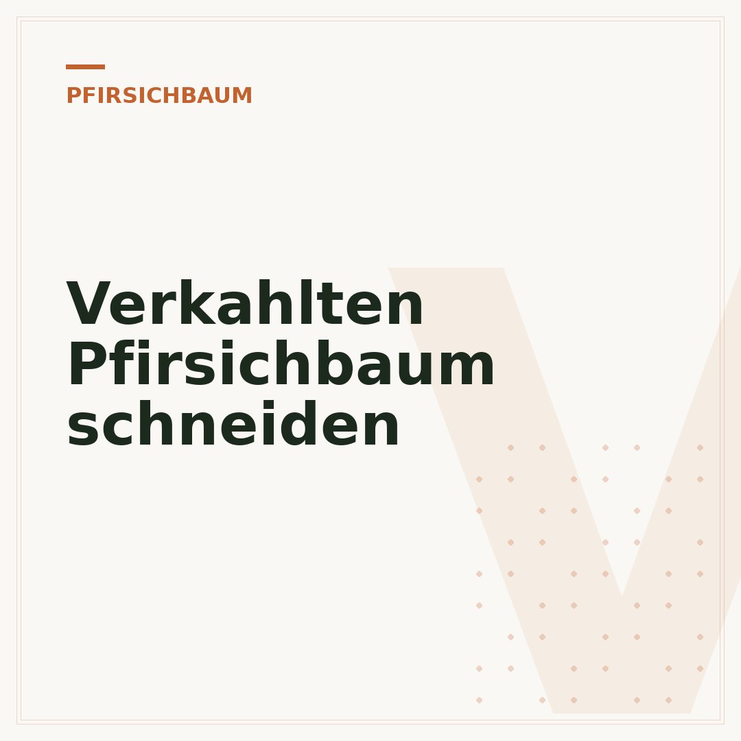 Verkahlten Pfirsichbaum schneiden