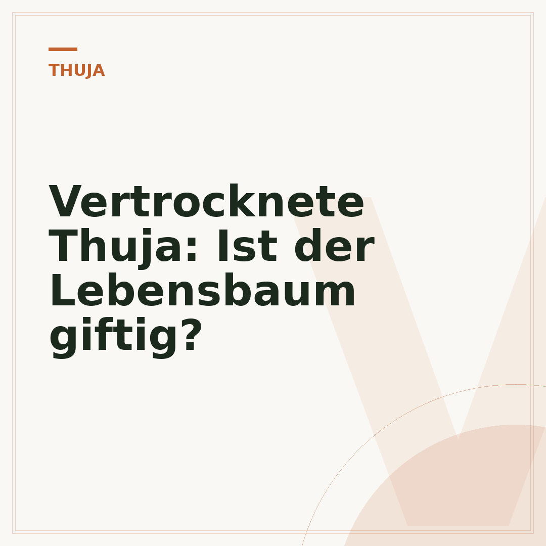 Vertrocknete Thuja: Ist der Lebensbaum giftig?