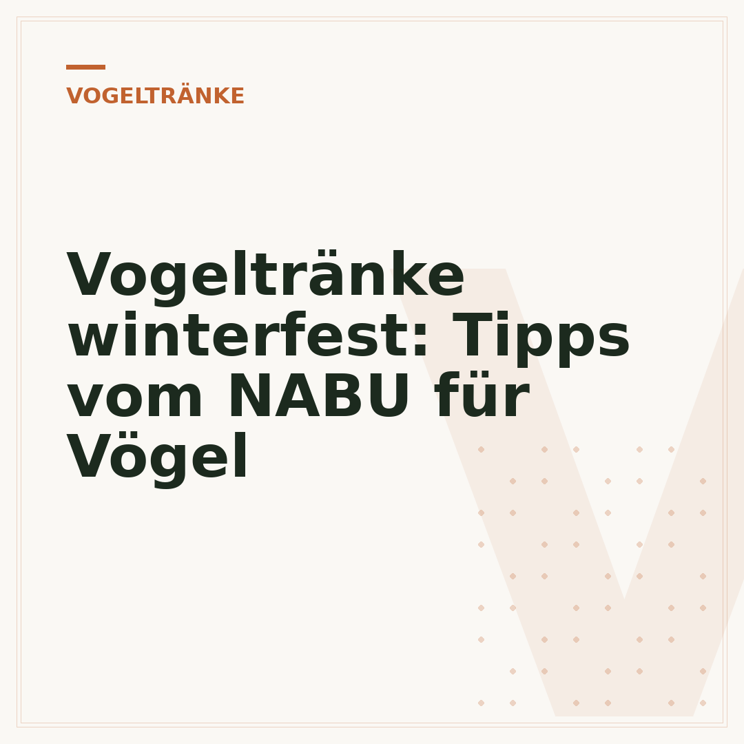 Vogeltränke winterfest: Tipps vom NABU für Vögel