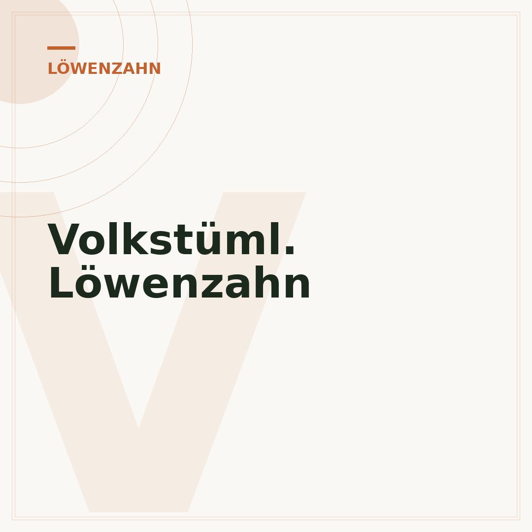Volkstüml. Löwenzahn