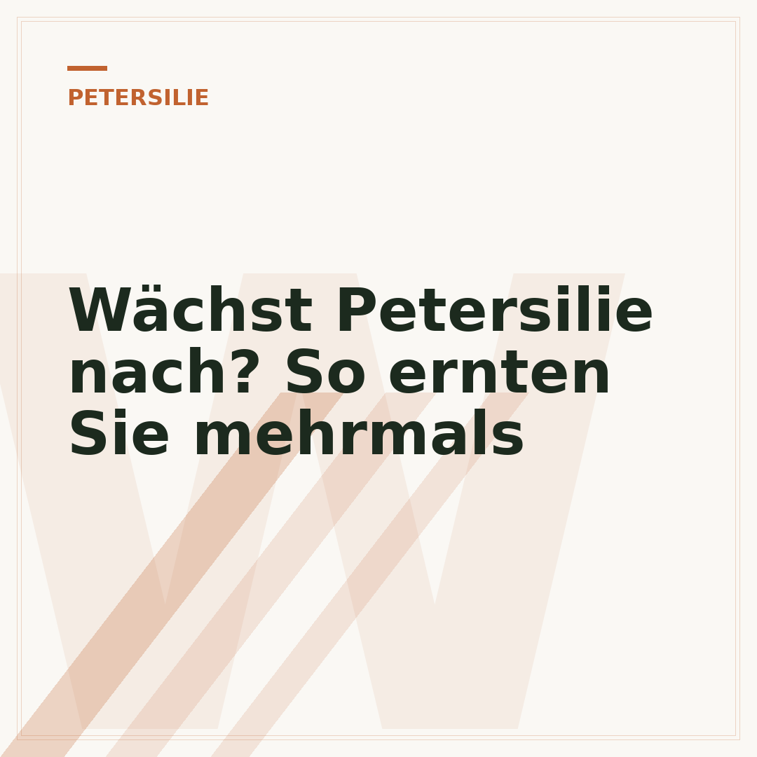Wächst Petersilie nach? So ernten Sie mehrmals