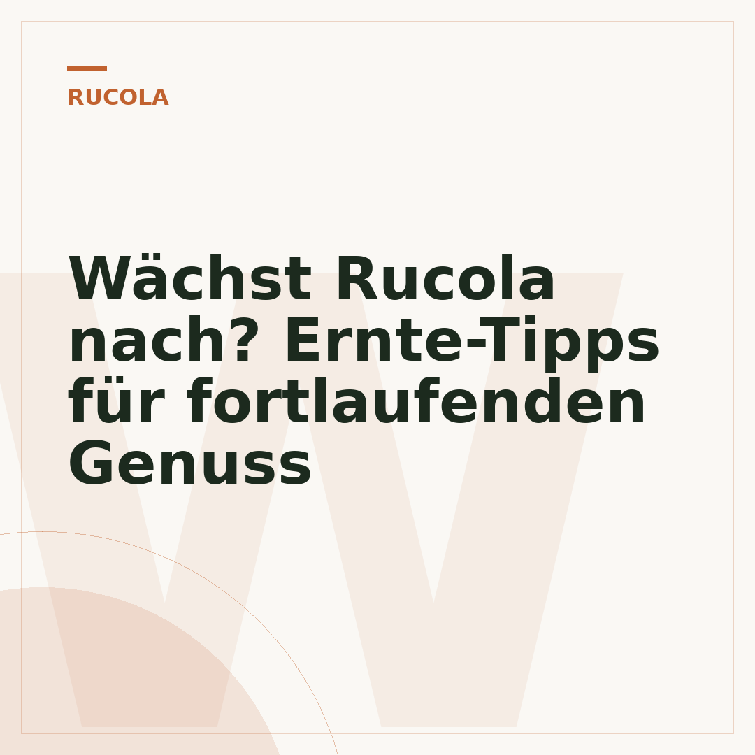 Wächst Rucola nach? Ernte-Tipps für fortlaufenden Genuss