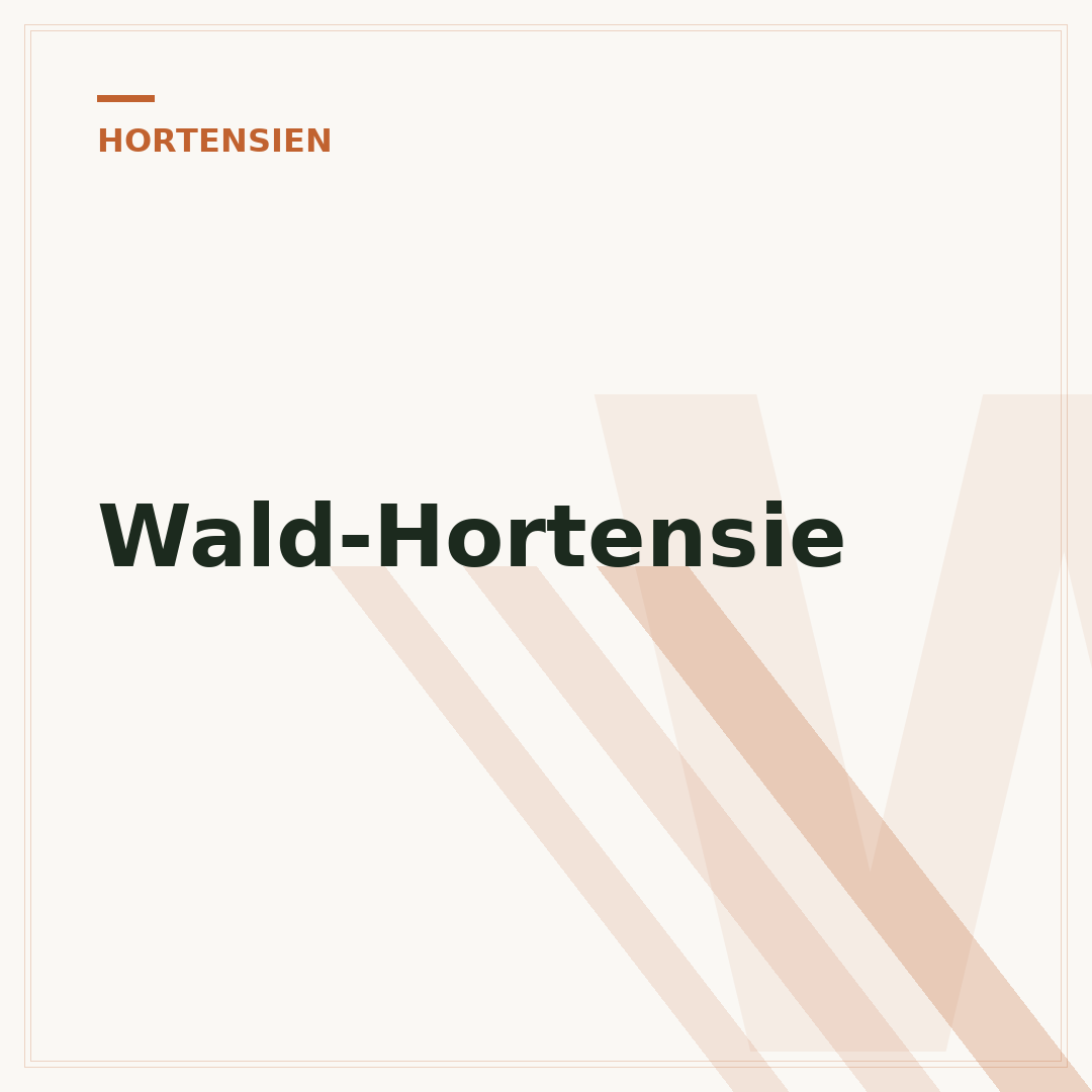 Wald-Hortensie