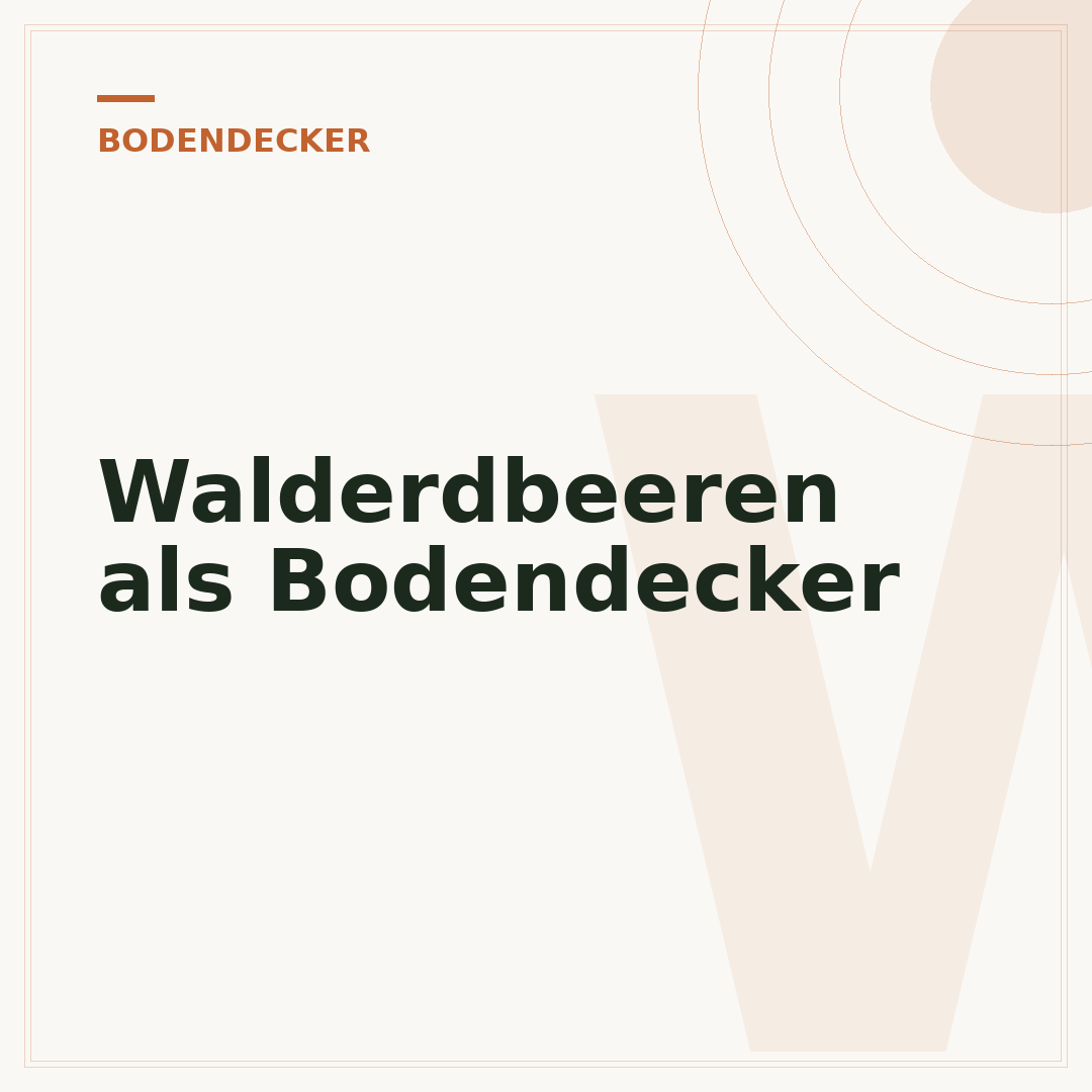Walderdbeeren als Bodendecker