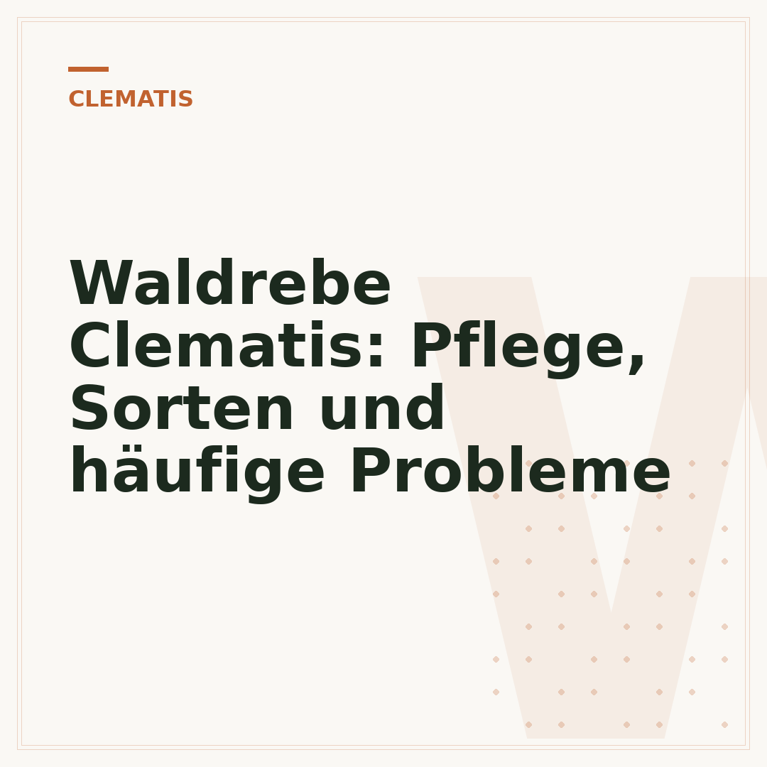 Waldrebe Clematis: Pflege, Sorten und häufige Probleme