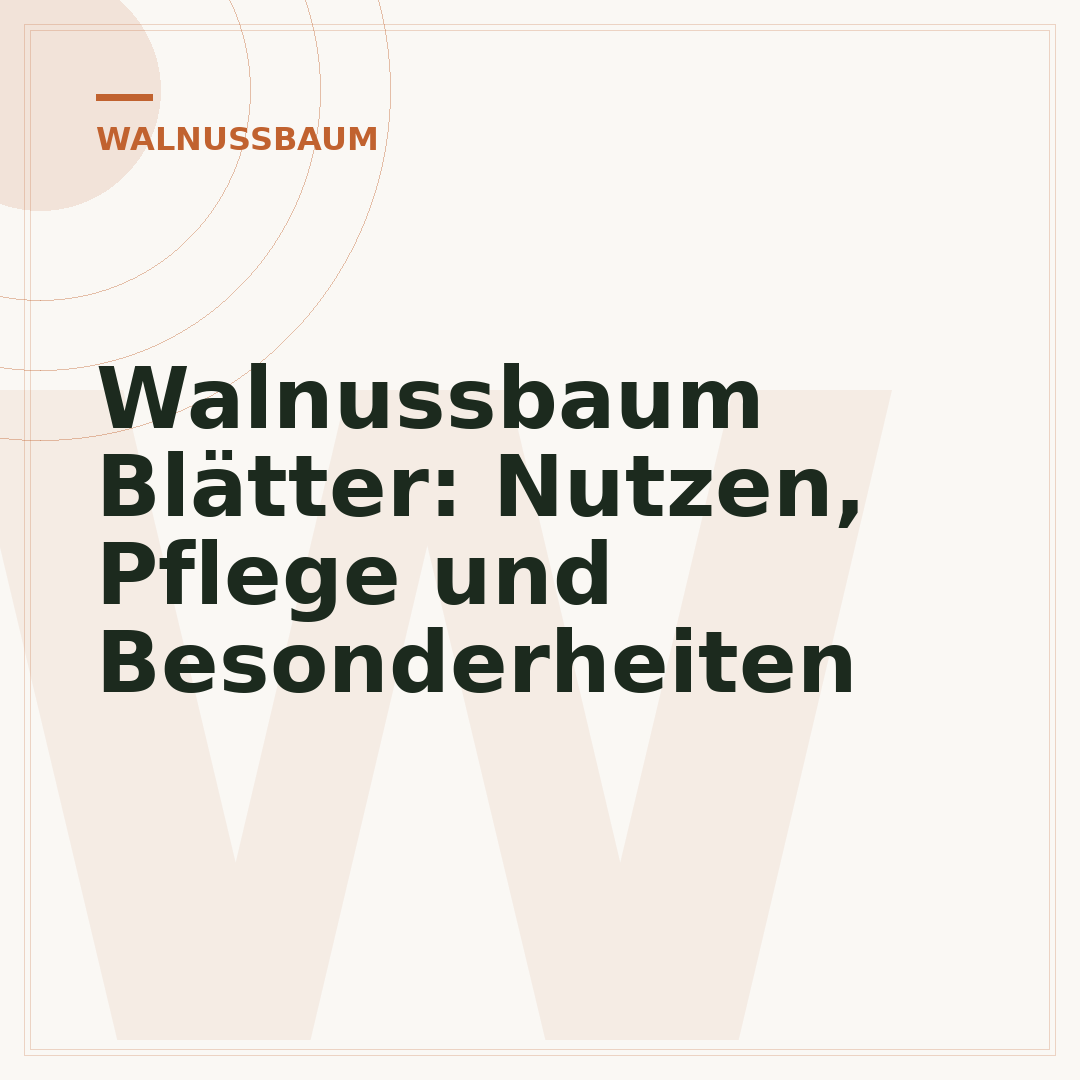 Walnussbaum Blätter: Nutzen, Pflege und Besonderheiten