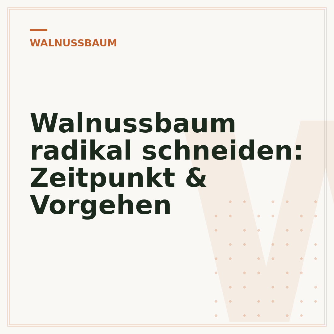 Walnussbaum radikal schneiden: Zeitpunkt & Vorgehen